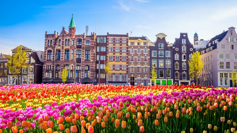 Video - Blomstercruise i Holland
